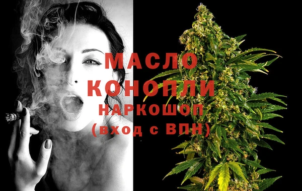 амф Горняк