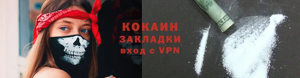 амф Горняк