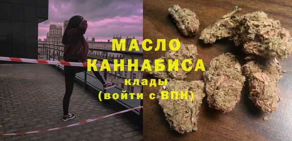 мяу мяу мука Гусь-Хрустальный