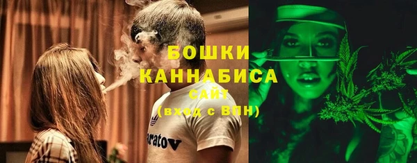 эйфоретик Гусев