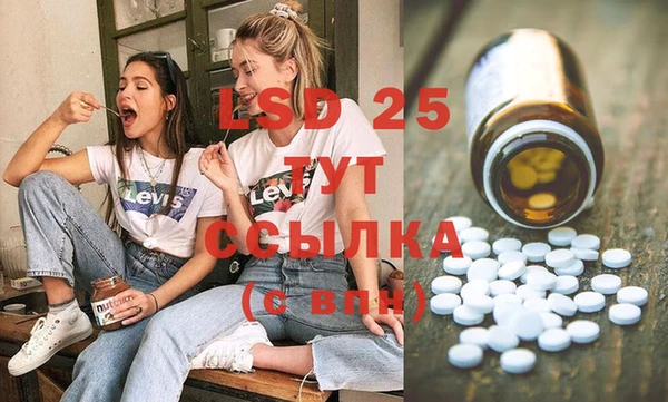 мяу мяу мука Гусь-Хрустальный